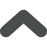 Chevron Up SVG Icon